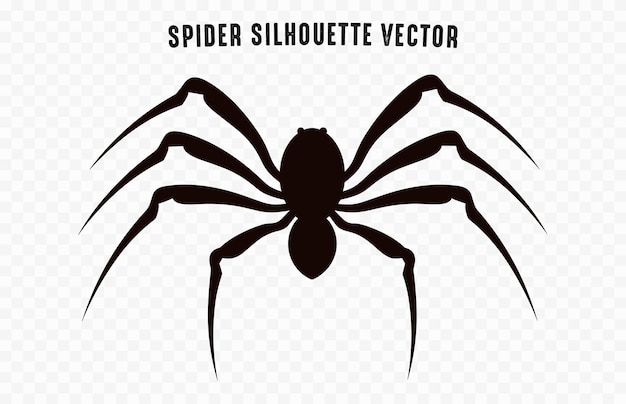 Una silueta negra del vector de la araña aislada en un fondo blanco