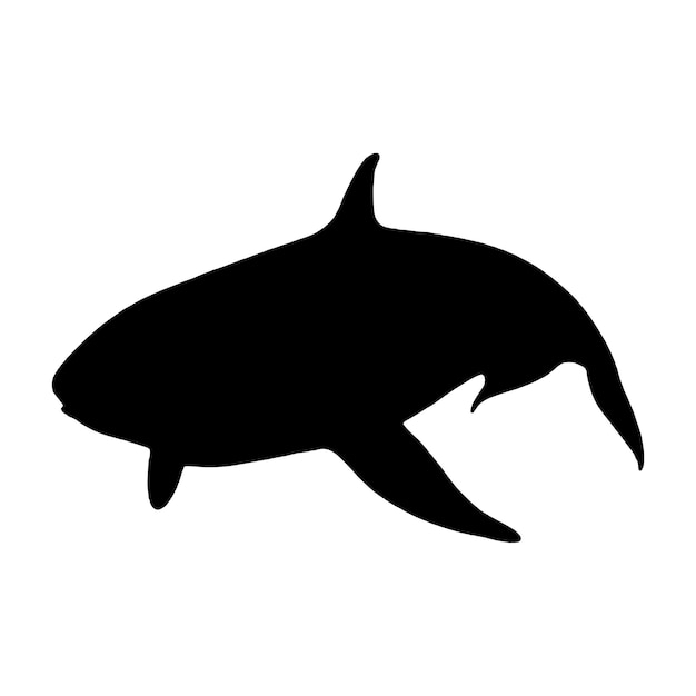 silueta, orca, ballenas asesinas, vector, ilustración
