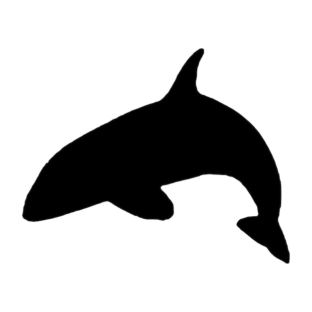 silueta, orca, ballenas asesinas, vector, ilustración