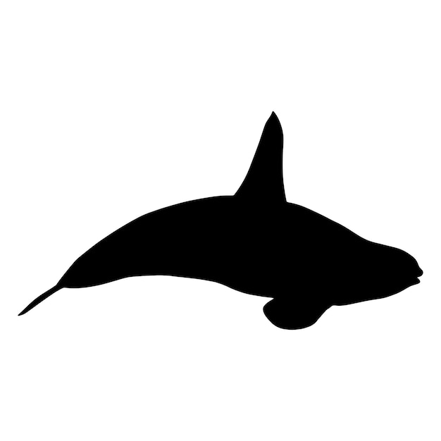 silueta, orca, ballenas asesinas, vector, ilustración