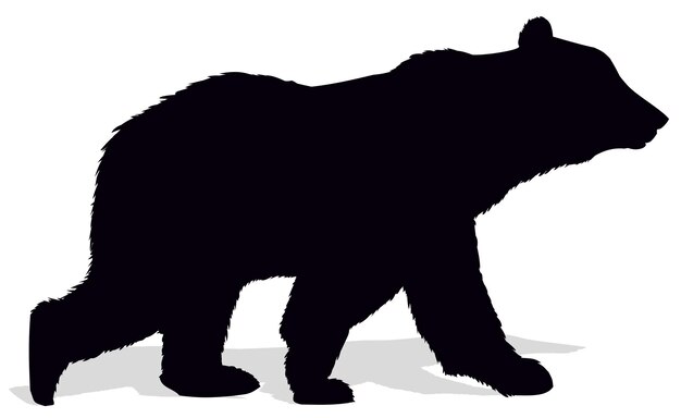 Silueta de un oso silvestre del bosque