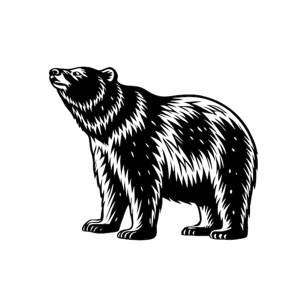 La silueta del oso