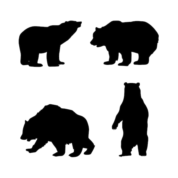 Vector silueta de oso