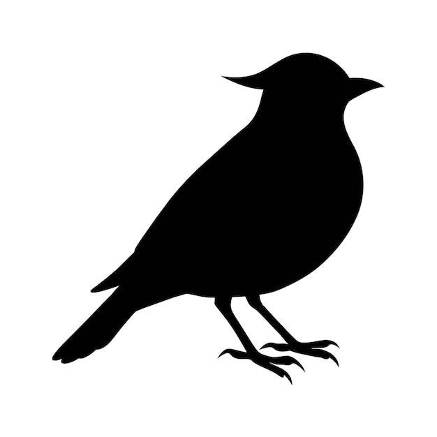 silueta de un pájaro alondra
