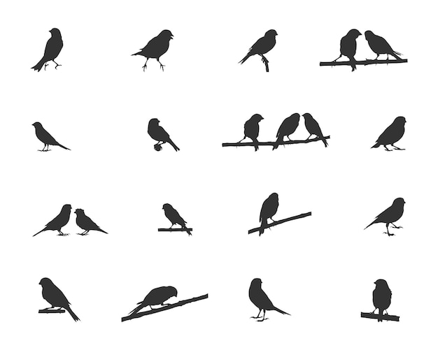 Silueta de pájaro canario siluetas de aves canario vector clipart canario