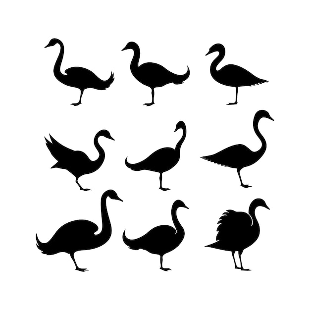 Silueta de pájaro cisne Vector de pájaro volador del cisne Diseño de ilustración vectorial del cisne