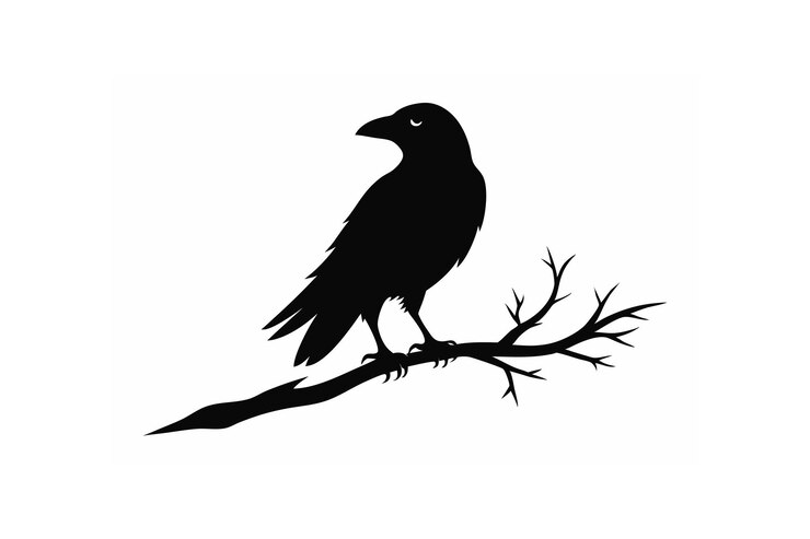 Silueta de pájaro cuervo en el vector de la rama del árbol
