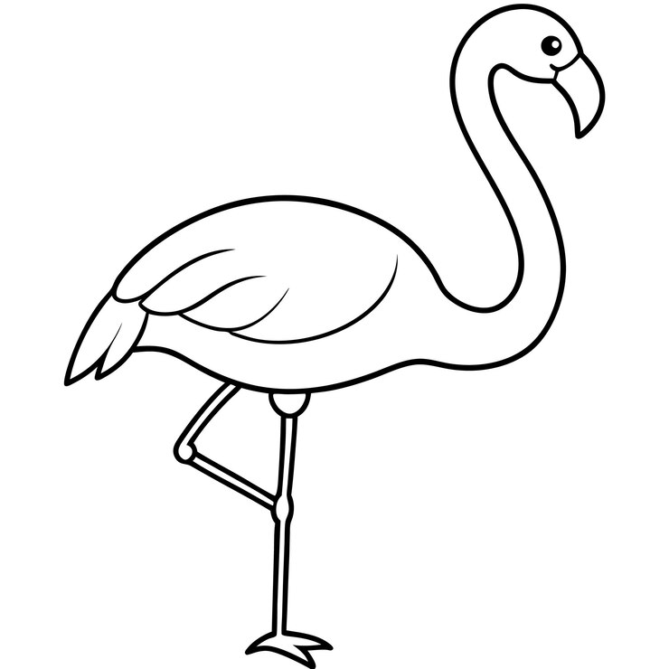 Vector la silueta del pájaro flamenco