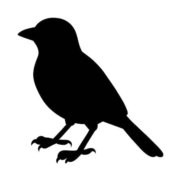silueta de un pájaro oriole animal