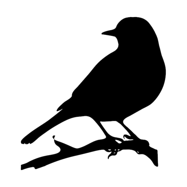Silueta de un pájaro posado en una rama