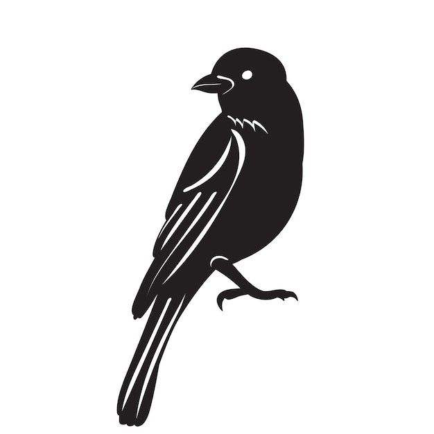 silueta de pájaro sobre un vector de fondo blanco