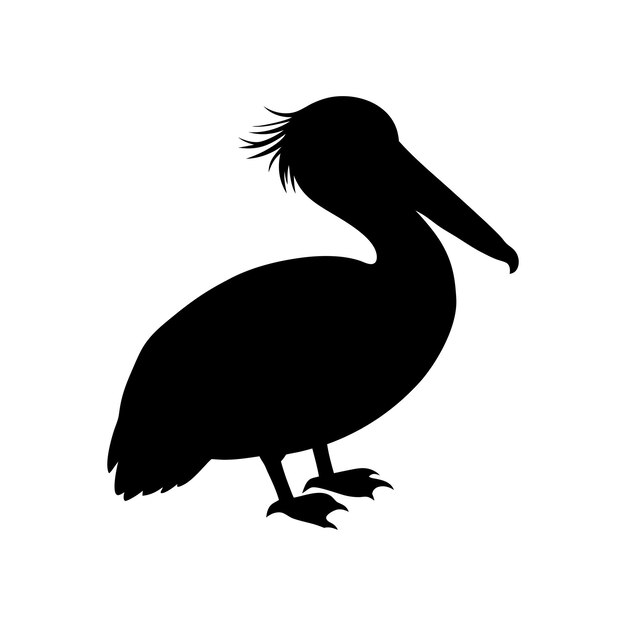 Silueta de pájaro en tablero blanco