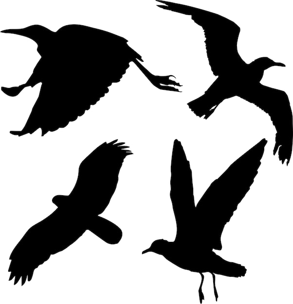 Silueta de pájaro volador 3