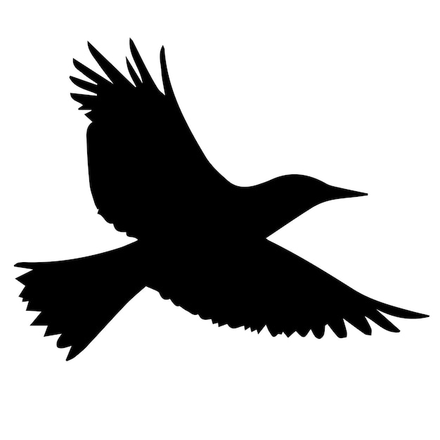 Silueta de pájaro volador Dibujo a mano silueta pájaro aislado sobre fondo blanco Ilustración vectorial