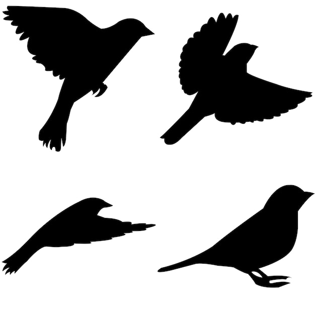 silueta de pájaro