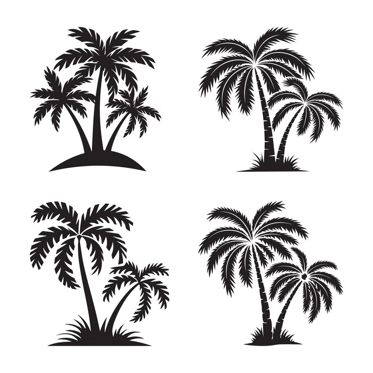 Silueta de la palmera Silueta del árbol de la palma Vector del árbol de las palmas Diseño de la silueta de la Palmera