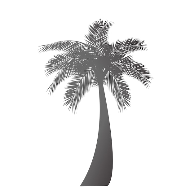 Silueta de palmera vectorial sobre fondo blanco