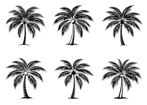 Silueta de palmeras de fondo blanco y negro