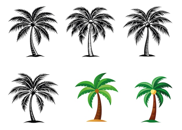 Silueta de palmeras de fondo blanco y negro