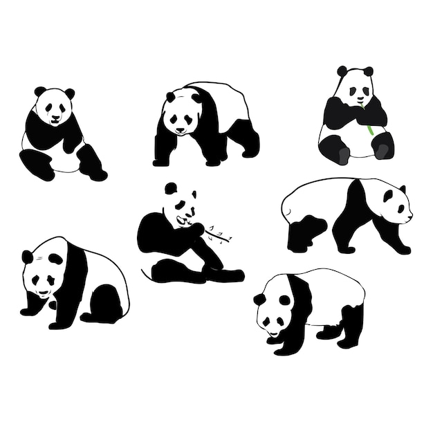 Silueta de panda pose diferente