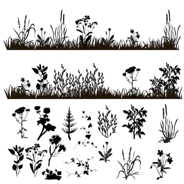 Silueta, de, pasto o césped, y, plantas, pradera, blanco, plano de fondo