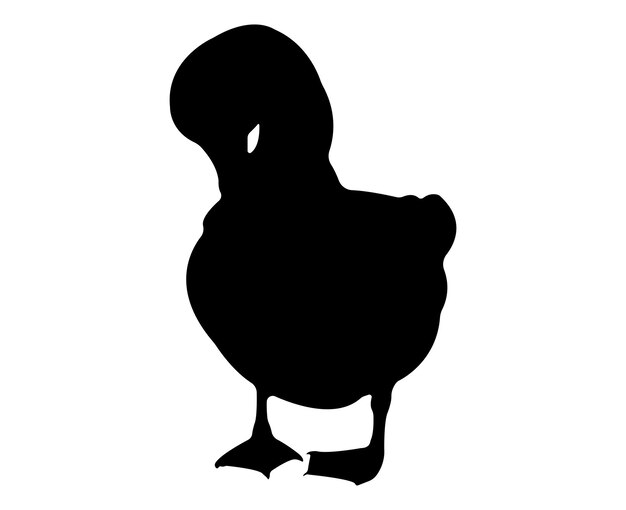 Silueta de pato plano vectorial aislada sobre fondo blanco