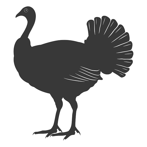 Vector silueta de pavo color negro animal sólo todo el cuerpo