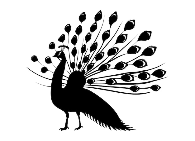 Vector silueta de pavo real aislado en un fondo blanco ilustración vectorial