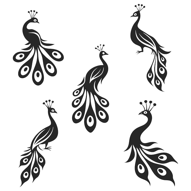 la silueta del pavo real