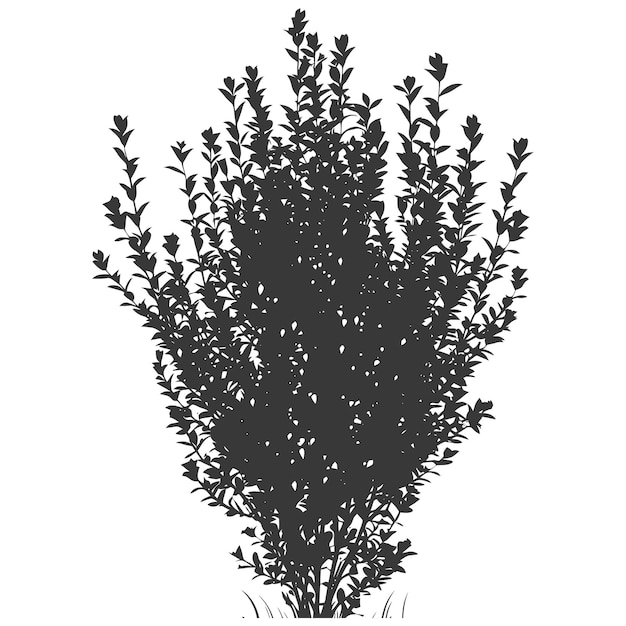 Silueta pequeño arbusto alto color negro sólo