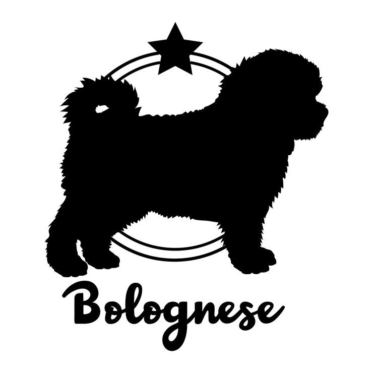 Vector silueta de perro bolognese perro razas de perro logotipo vector monograma silueta diseño de logotipo