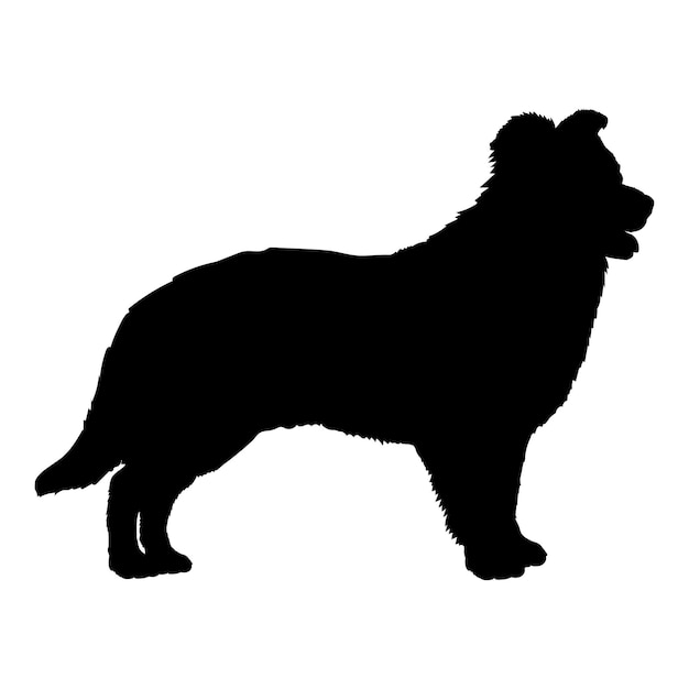 Vector la silueta del perro border collie es el vector del monograma del perro del logotipo de las razas de perros