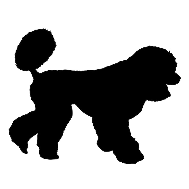 Vector silueta de perro caniche sobre un fondo blanco