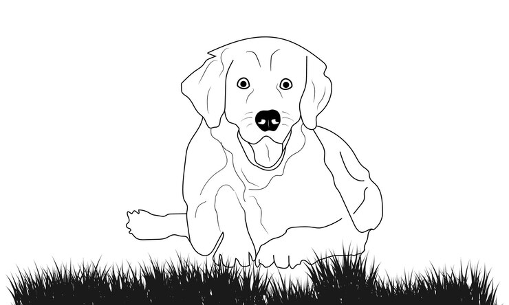 Silueta de perro y contorno de mascota en vector de fondo blanco
