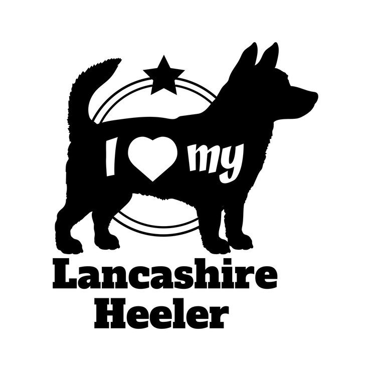 Vector la silueta del perro heeler lancashire las razas de perros los animales las razas del perro mascota la silueta