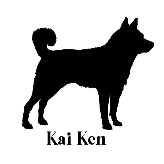 La silueta del perro Kai Ken