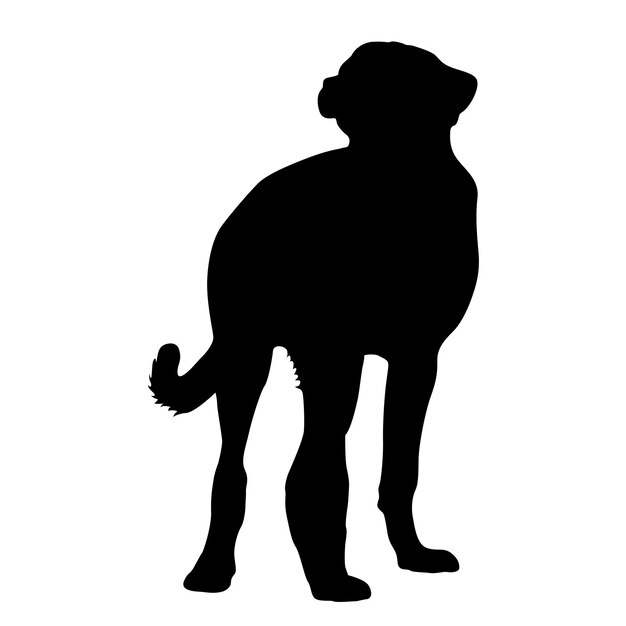 Vector silueta de perro pastor sobre un fondo blanco