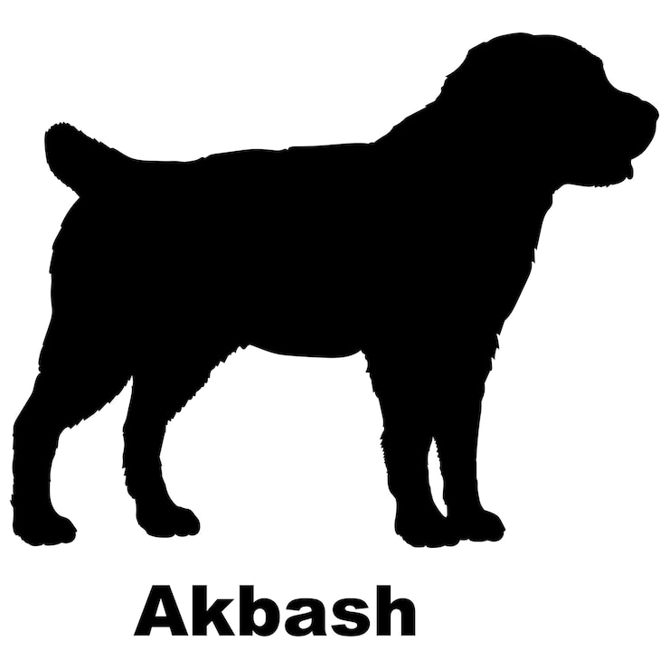 Vector silueta de perro perro akbash cría vector logotipo de perro
