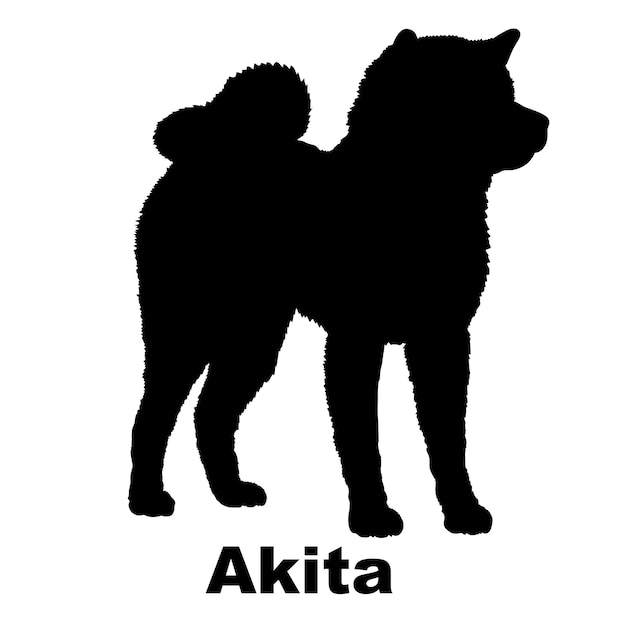 Vector la silueta del perro el perro akita cría el vector del monograma del logotipo