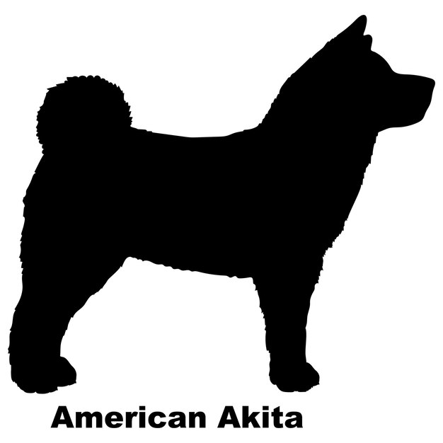 Vector la silueta del perro el perro americano akita cría vector el logotipo del perro