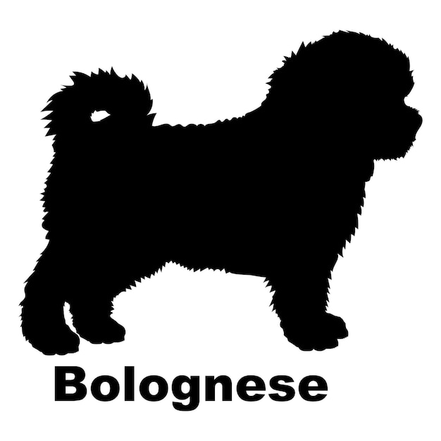 Vector silueta de perro perro bolognese razas logotipo perro monograma vector de logotipo