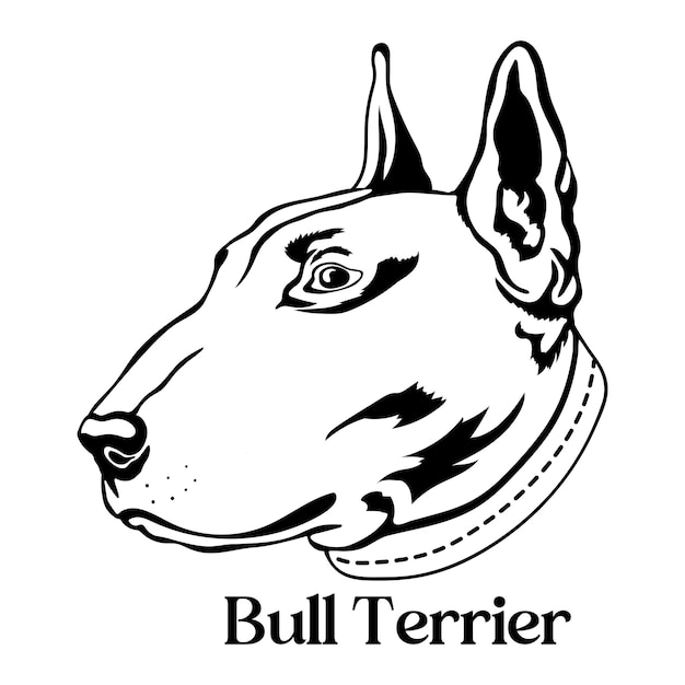 Vector silueta de perro perro bull terrier cabeza cara de perro razas logotipo monograma de perro vector