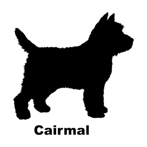 La silueta del perro el perro Cairmal cría el logotipo del perro el monograma del vector del logotipo
