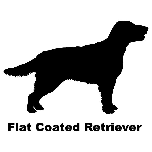 La silueta del perro el perro Flat Coated Retriever cría el vector del monograma del logotipo