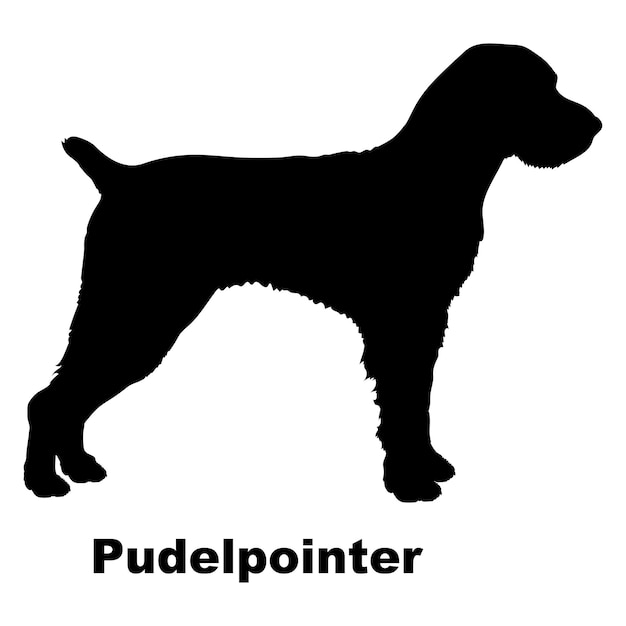 Vector la silueta del perro el perro pudelpointer cría el vector del monograma del logotipo