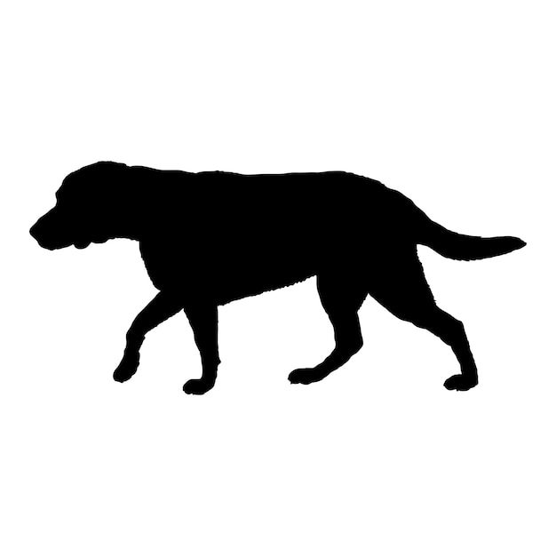 La silueta del perro el perro de las razas Labrodore el logotipo del perro el monograma el vector del logotipo