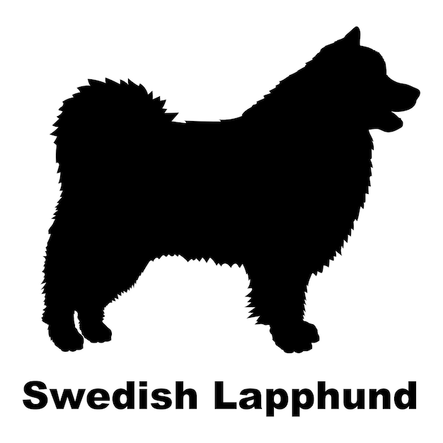 La silueta del perro el perro sueco Lapphund cría el vector del monograma del perro del logotipo