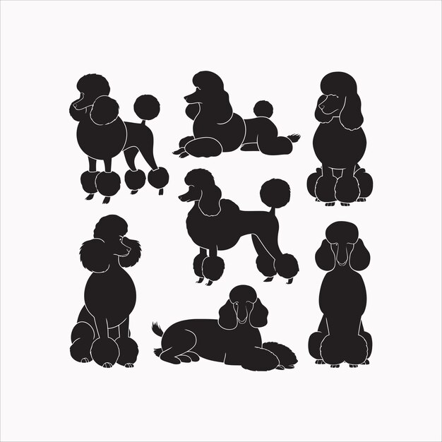 La silueta del perro poodle establece la plantilla vectorial de los animales