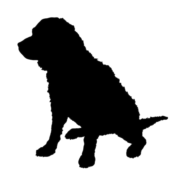 Vector silueta de perro raza de perro logotipo monograma de perro vector de cara de perro español de agua americano