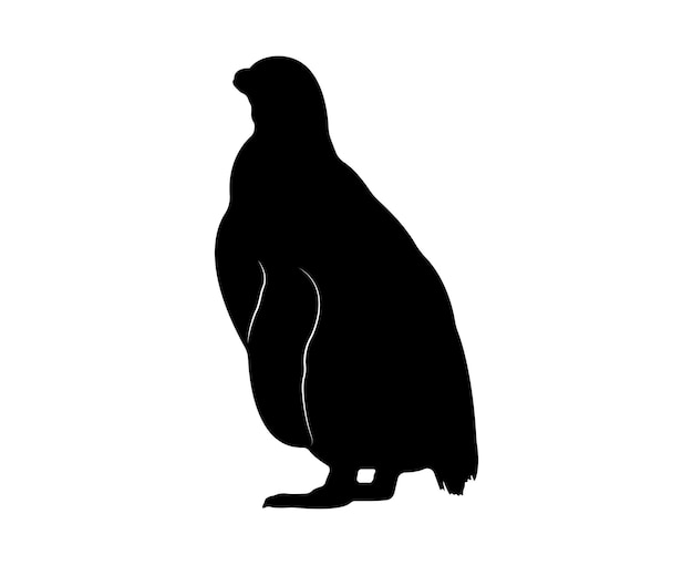 Silueta de pingüino plano vectorial aislada sobre fondo blanco